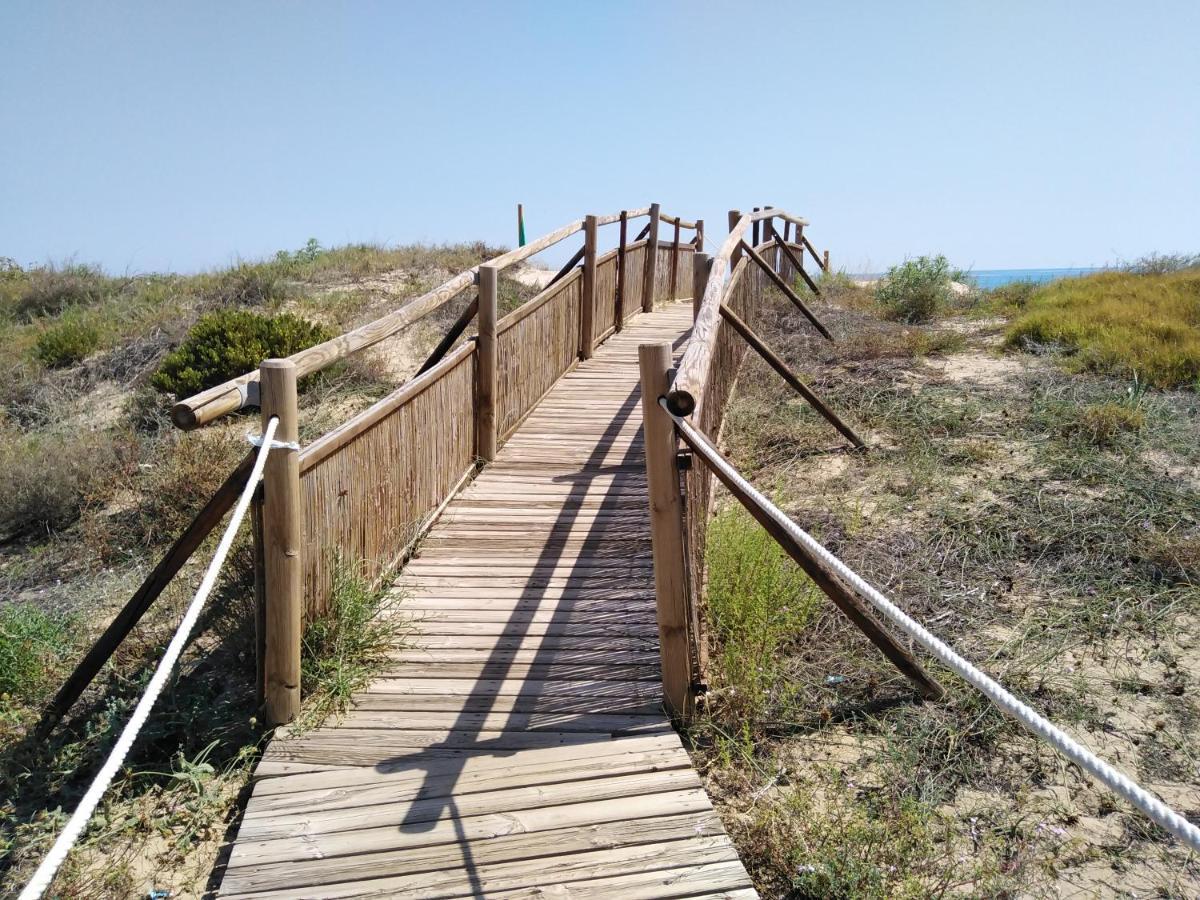 Apartamento Paraiso Beach Daimús Eksteriør billede
