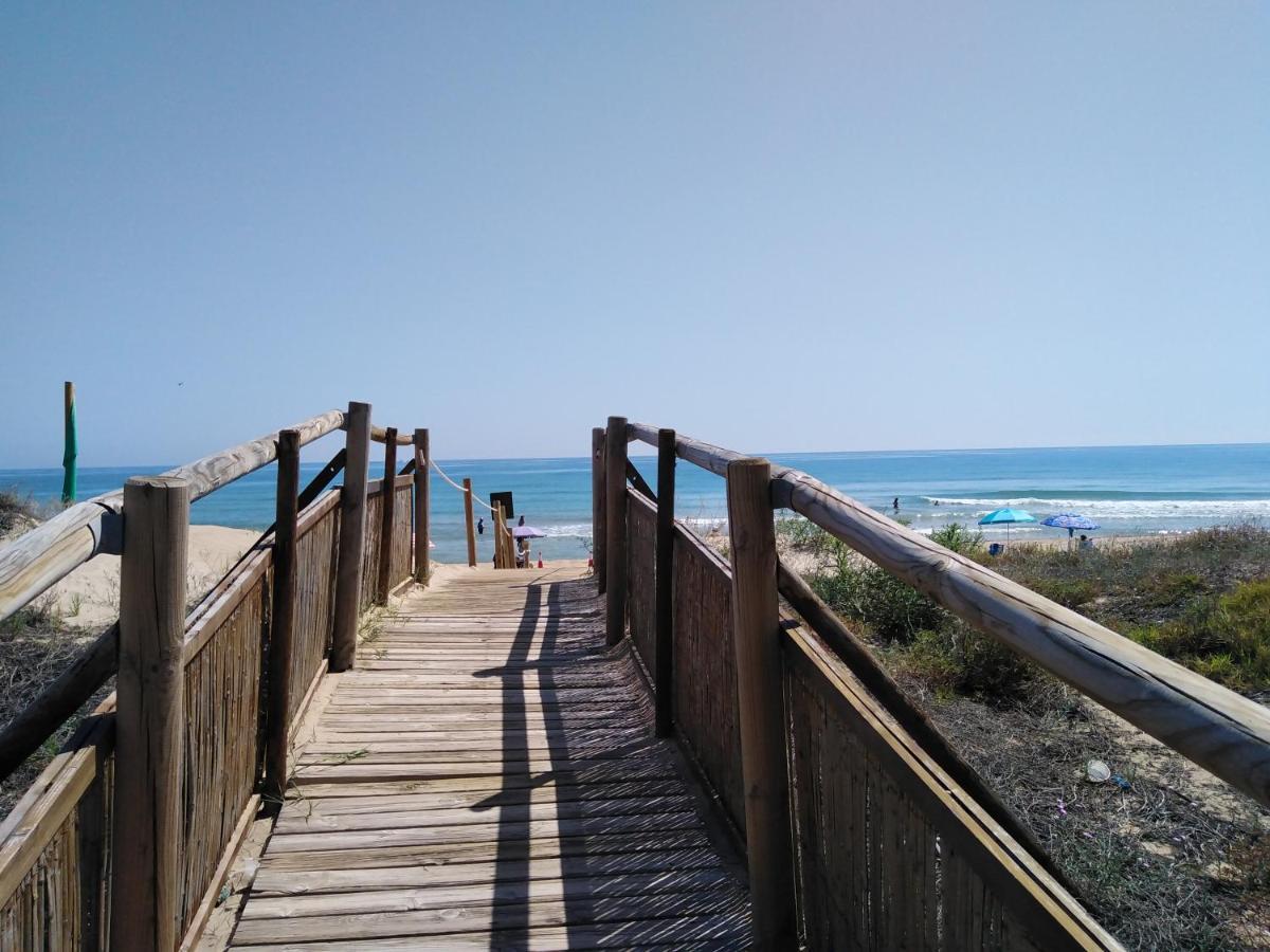Apartamento Paraiso Beach Daimús Eksteriør billede